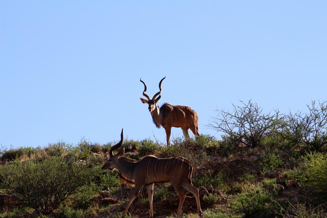 Kgalagadi Lodge Askham Εξωτερικό φωτογραφία