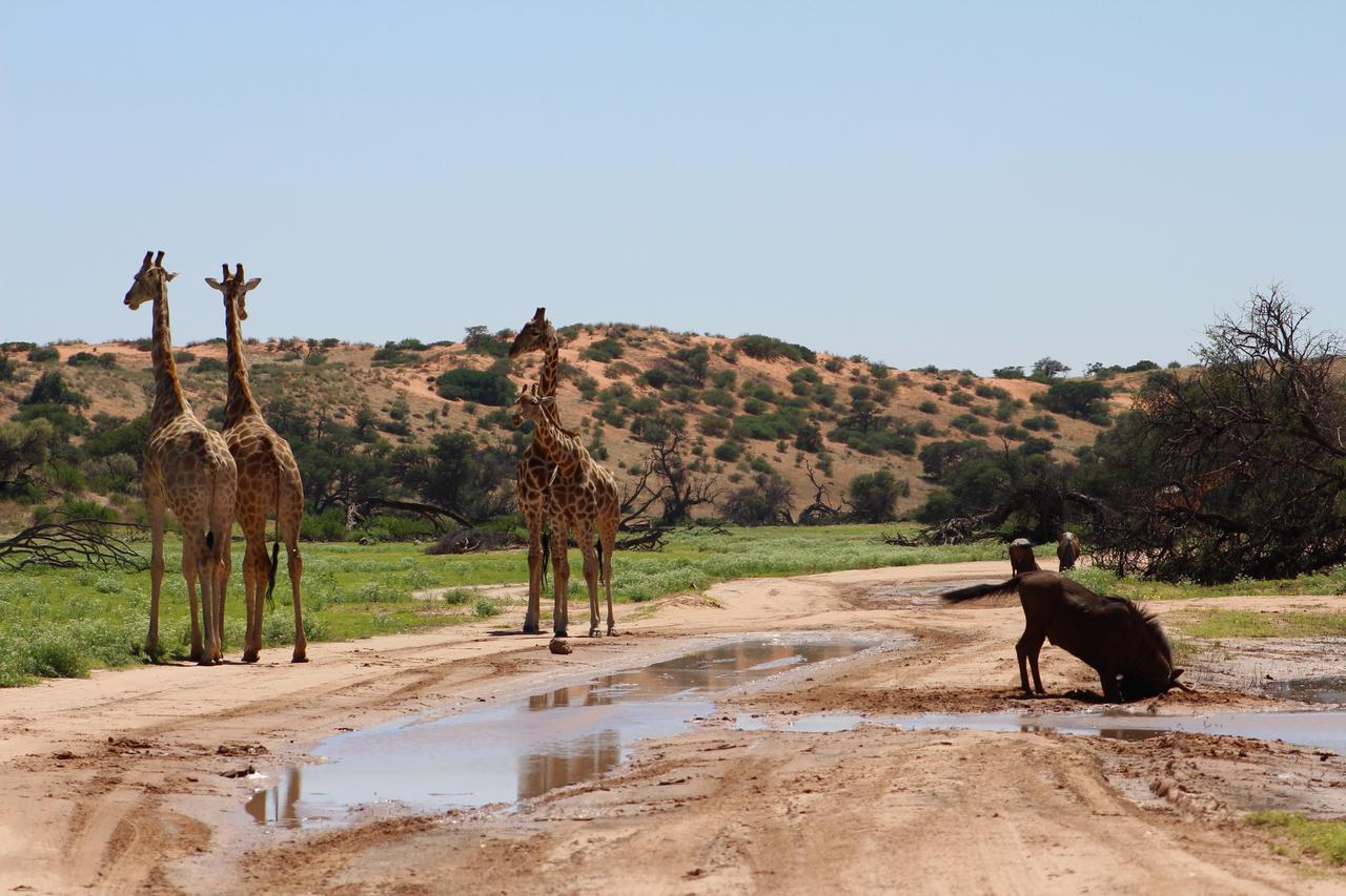 Kgalagadi Lodge Askham Εξωτερικό φωτογραφία